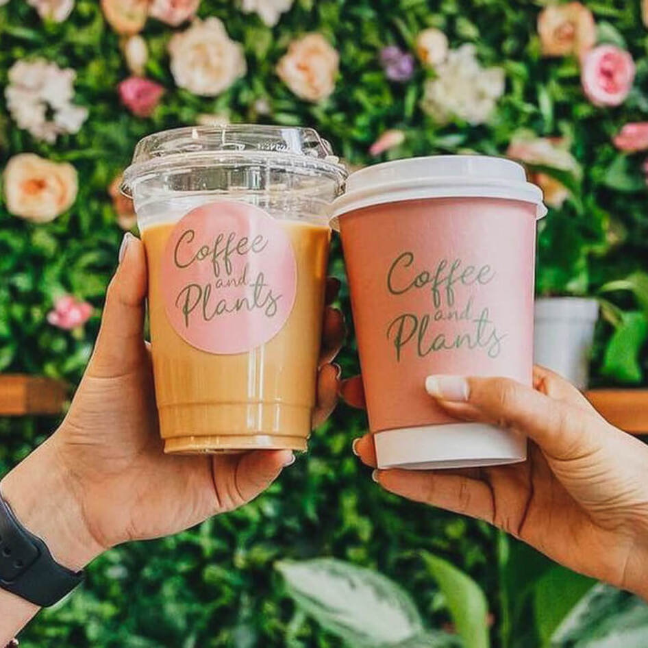 No Surcharges Here: The 17 Best Vegan Coffee Shops in the US<br>
